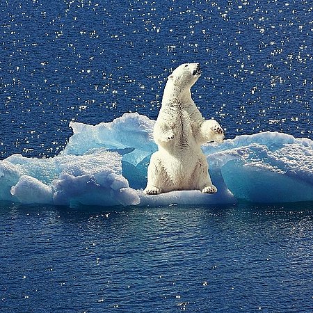 Nordwestpassage mit den Seenomaden